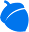 Blue Acorn iCi