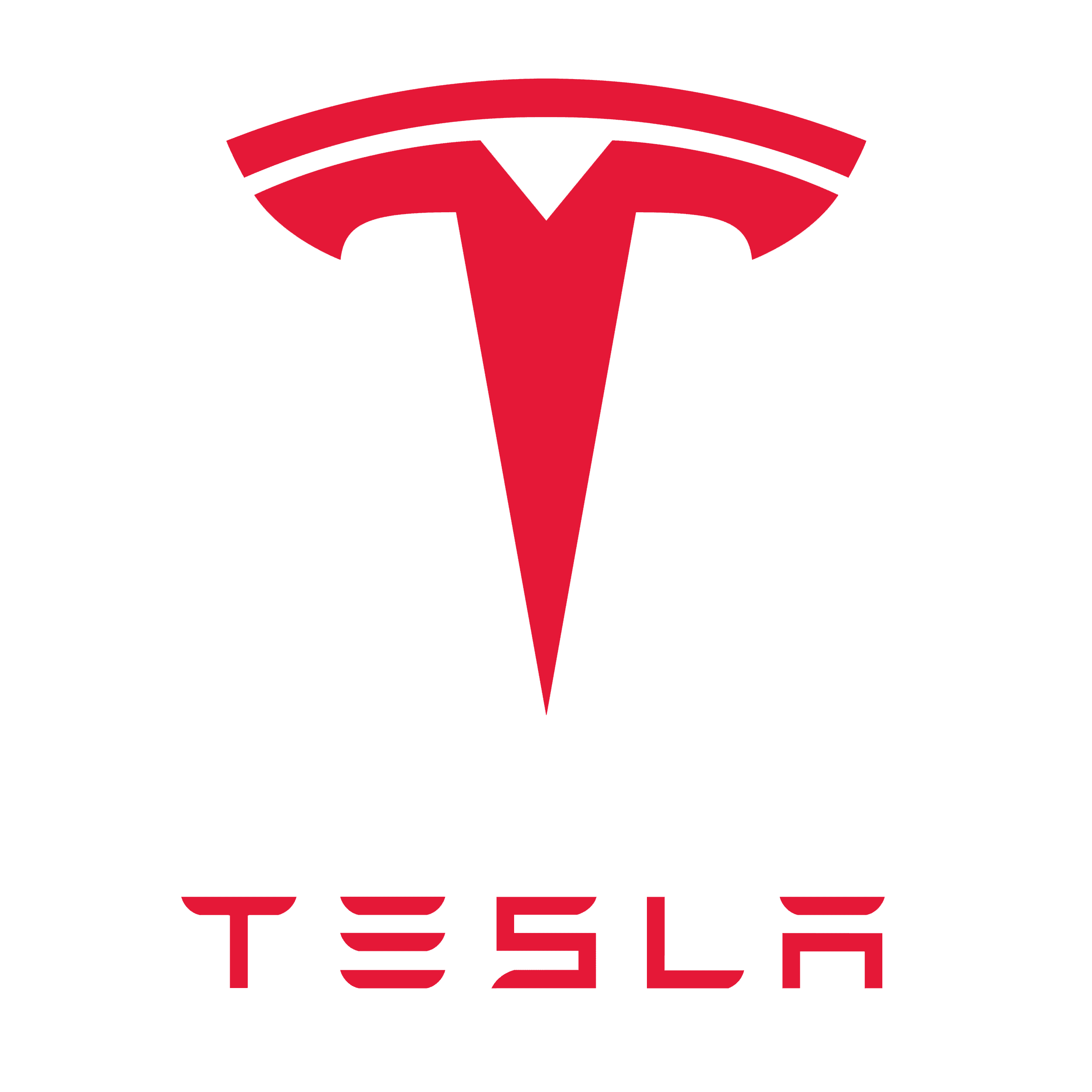Tesla Motors, Inc.