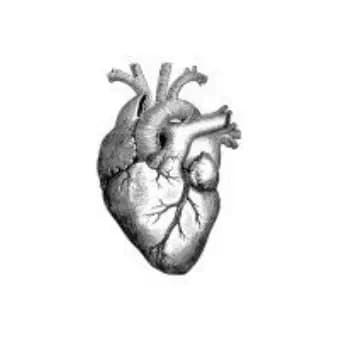 Icardio.AI